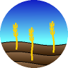 StepFarmer